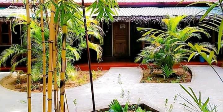 Naaval Beach Villa & Rooms باتيكالوا المظهر الخارجي الصورة