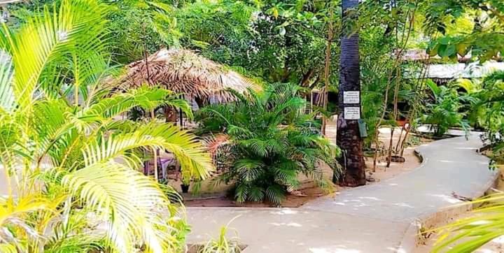 Naaval Beach Villa & Rooms باتيكالوا المظهر الخارجي الصورة